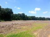 15+/- acres with 12 acres good tillable farmland. Currently rented to farmer who pays money rent of $115.00 per acre. Level to gently rolling with good blacktop road frontage.