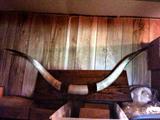 Bull Horns
