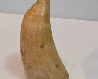 Sperm Whale Tooth