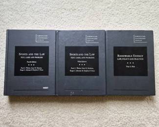 American Casebook Series 3 Books