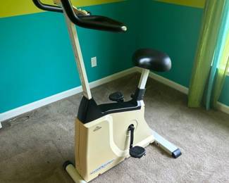 Vintage Vision Fitness E3200 Bike
