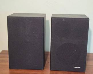Bose Model 21 Speaker System