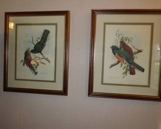 nice framed bird prints