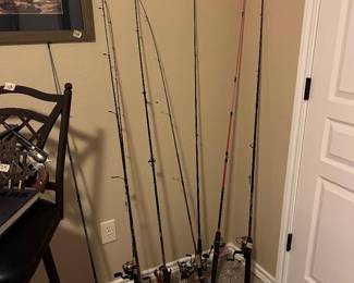 Fishing rod and reels