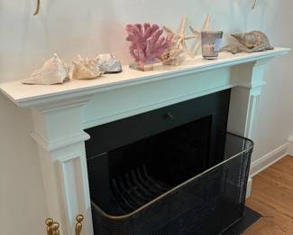 Shell Collection