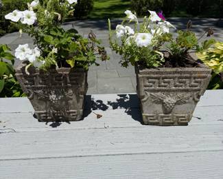 Pair of Cement Planters