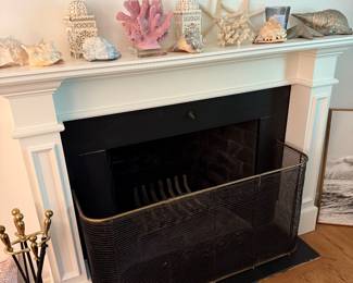 Antique Fireplace Fender
