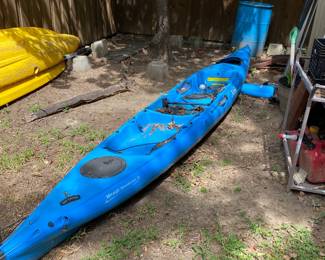 Hobie 350