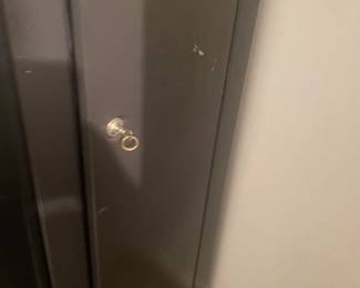 Gun Safe