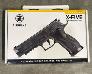 002 sigsauerxfiveco2blowback177calpe
