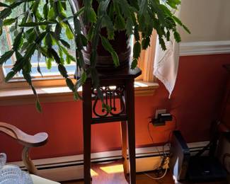 real plant and stand