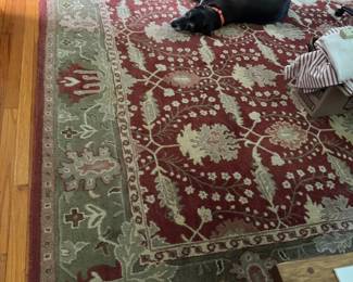 11x9 area rug (dog not included)