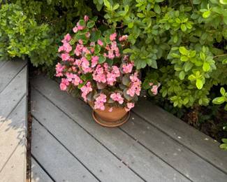 flower pot