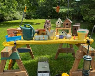 bird house etc