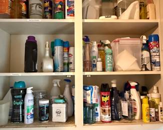 Assorted Household Cleaning and Pest Control Products