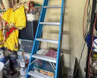 Werner ft Fiberglass Step Ladder