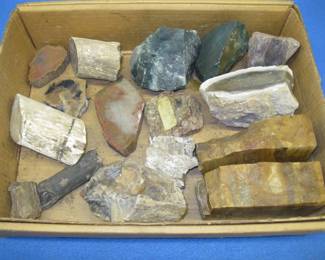 Lot 290. Petrified wood, cut stone, and more