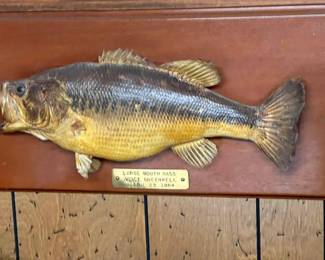 Stuffed FVG fish