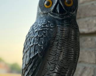 Plastic Owl Decoy