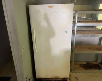 STAND UP FREEZER CONDITION UNKNOWN