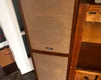 Dual Floor Speakers
