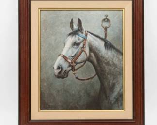 Horse Pic