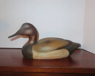 duck