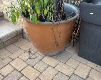. . . large planter