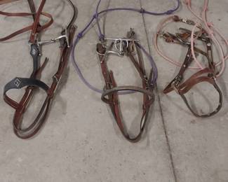 Western Style Horse Bridles 3 Count