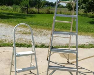 Werner Ladder And Step Stool