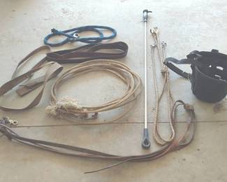 Horse Training Tack