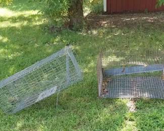 Animal Traps