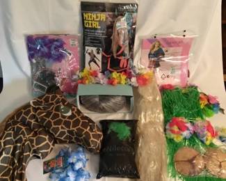 Halloween Costume Lot