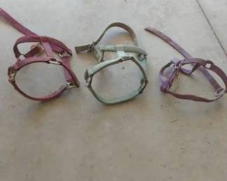 Horse Halters