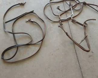 Browband Bridle and Split Straps