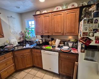 dishwasher, vintage plates, and vintage tupperware