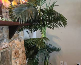 Silk Palm Tree