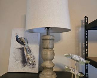 Wood Lamp, Art & Turtles