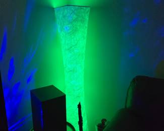 Mood Setting Floor Lamp