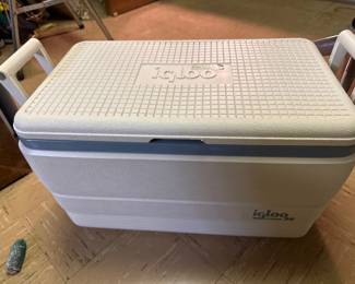 Igloo cooler