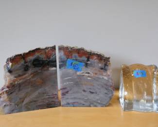 Petrified wood bookends