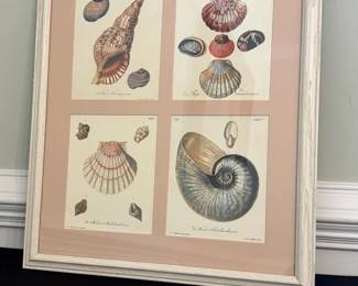 CoastalThemed Framed Print