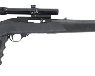 Ruger 10-22 Rifle 22