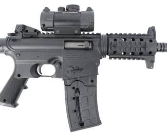 22 pistol