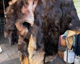 Full Moose hide! makes a great nap blanket!!!