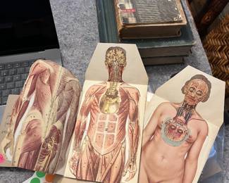 Vintage medical and anatomical books and foldout diagrams.