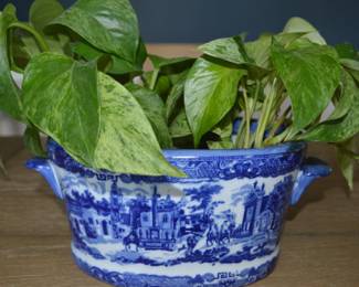 Oval Blue and White planter