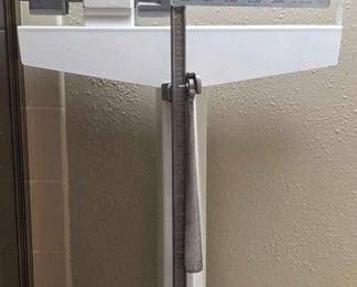 Detecto 350 Lb Capacity Scale