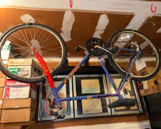 mens bike