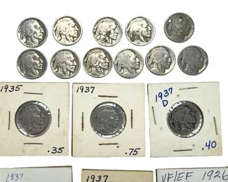 Vintage US Buffalo Nickels Coin Collection Lot (17 Coins) - Historic American Currency